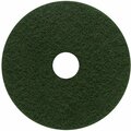 Green Arrow Equipment 18 in. Scrubbing Floor Pad, Green, 5PK GR3738503